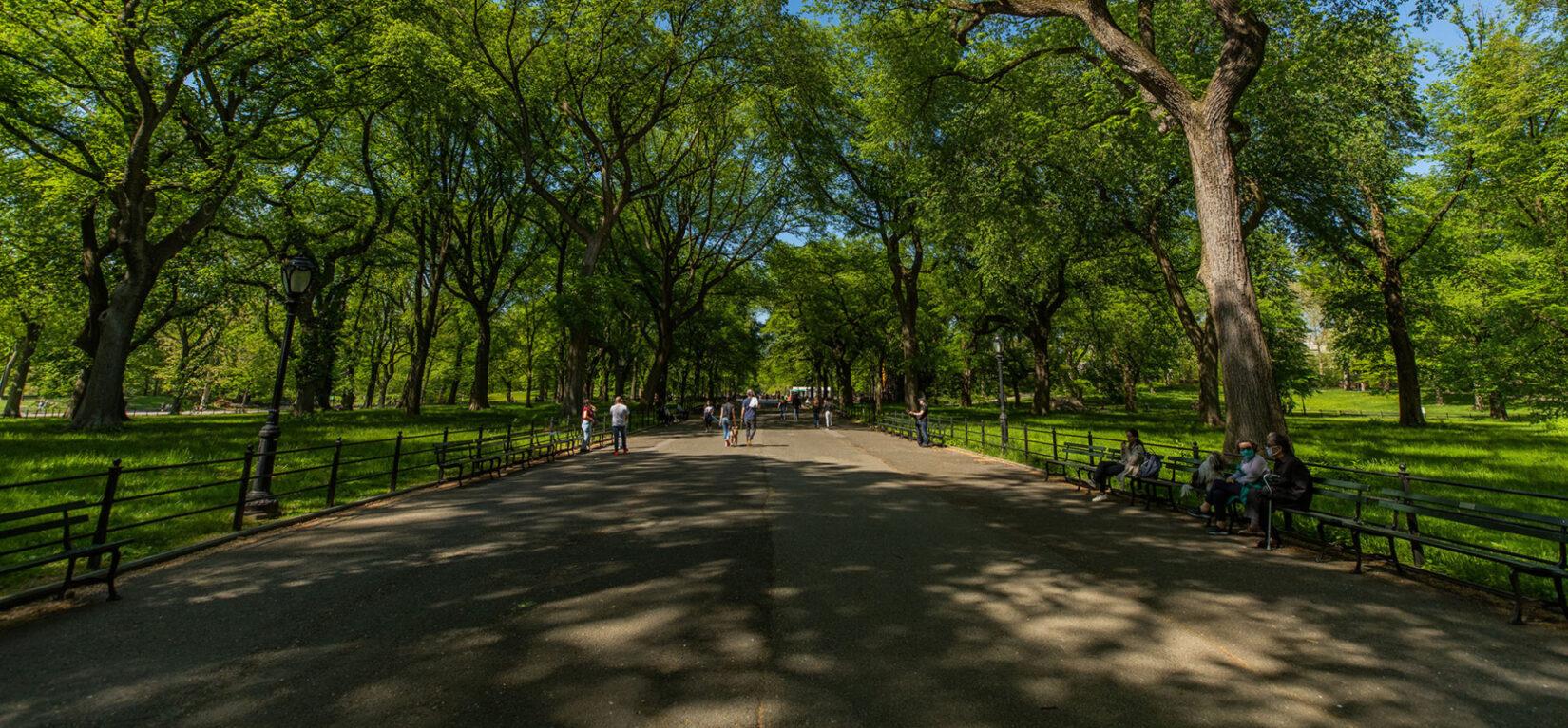 Looking down the length of the Mall in spring