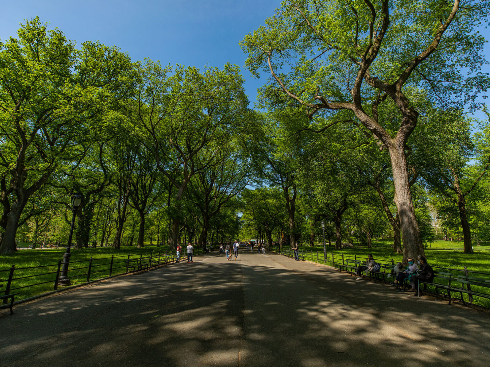 Looking down the length of the Mall in spring