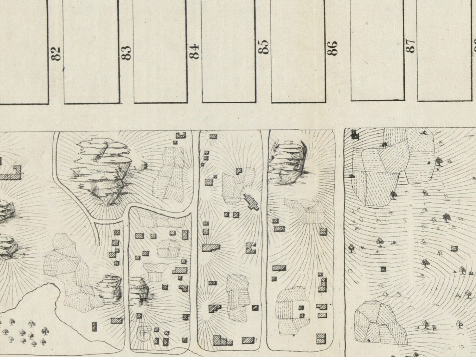 1856 Viele Large 1