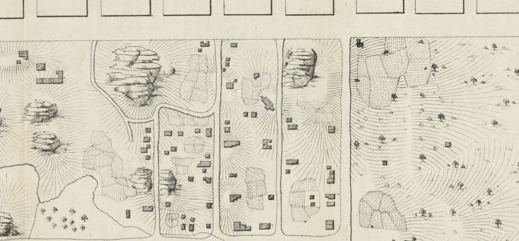 1856 Viele Large 1