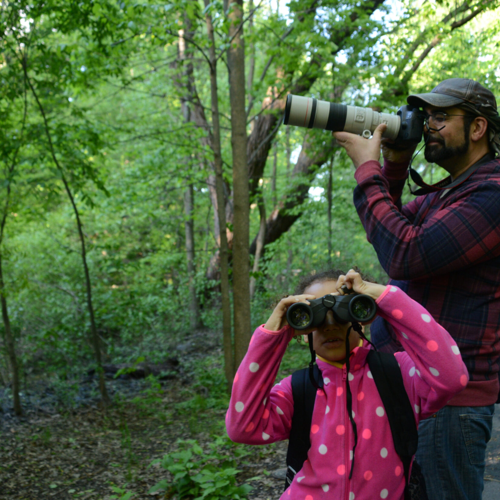 A man and young girl hold binoculars up to their faces in search of birds in the Ravine, a wooded landscape behind them.