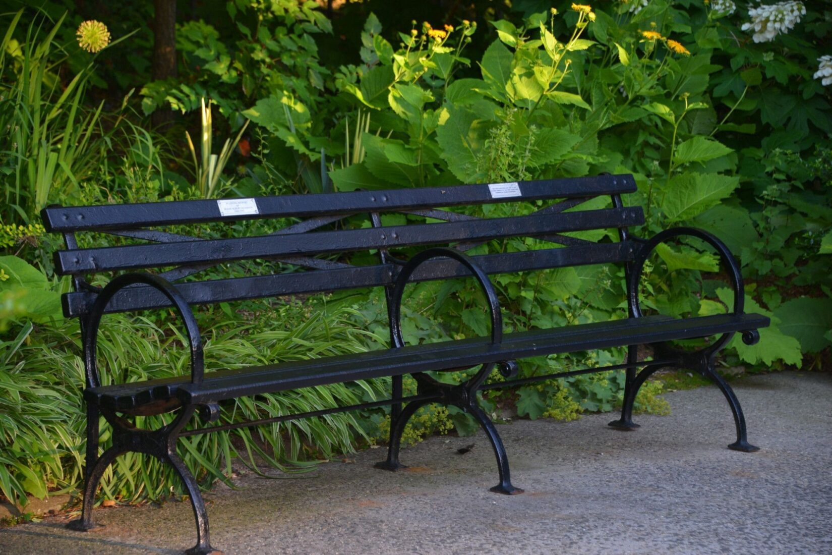 20170621 Bench DSC 6938