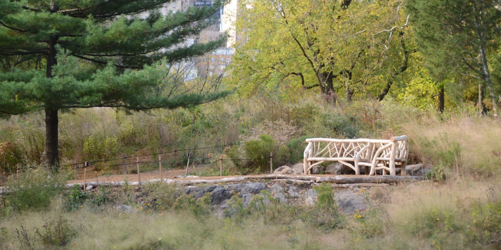 A rustic bench sits in the natural landscape of the Dene.