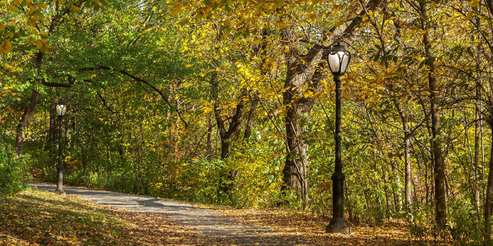 Two lamps stand guard along a path through the North End