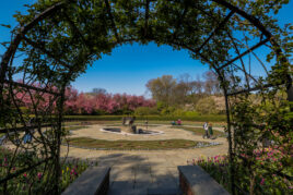 A view of the Garden seen through the arch of the pergola.