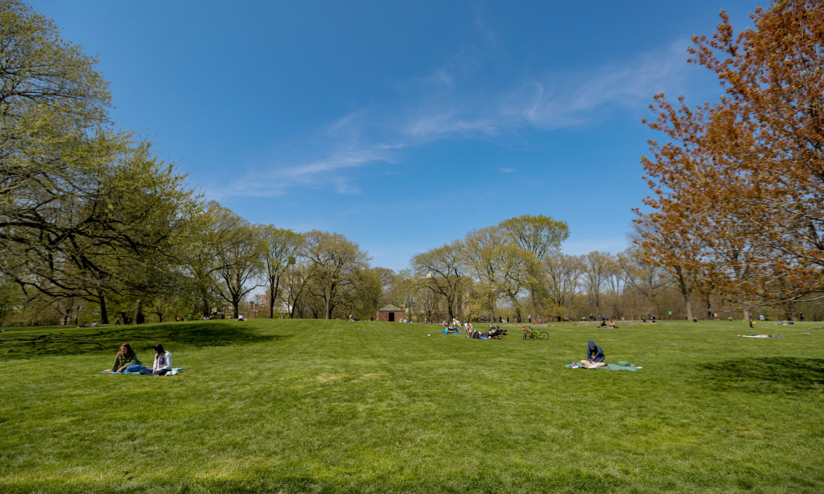 A apringtime view of the lawn with scattered parkgoers enjoying the weather