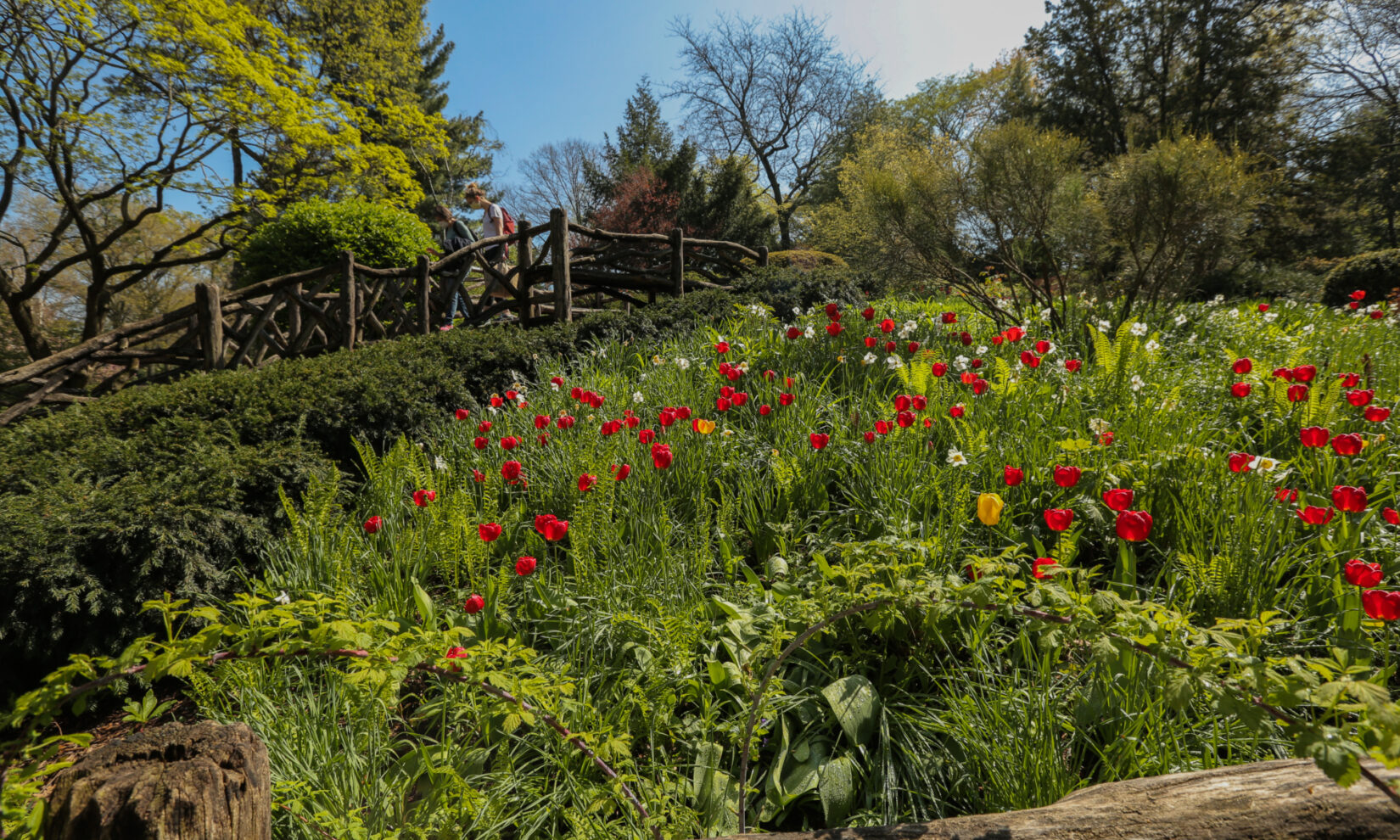 Intricate, natural plantings and rustic features are highlights of the garden.