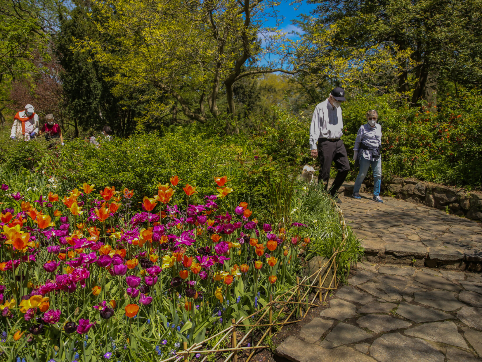 Masked visitors stroll the paths of the Shakespeare Garden