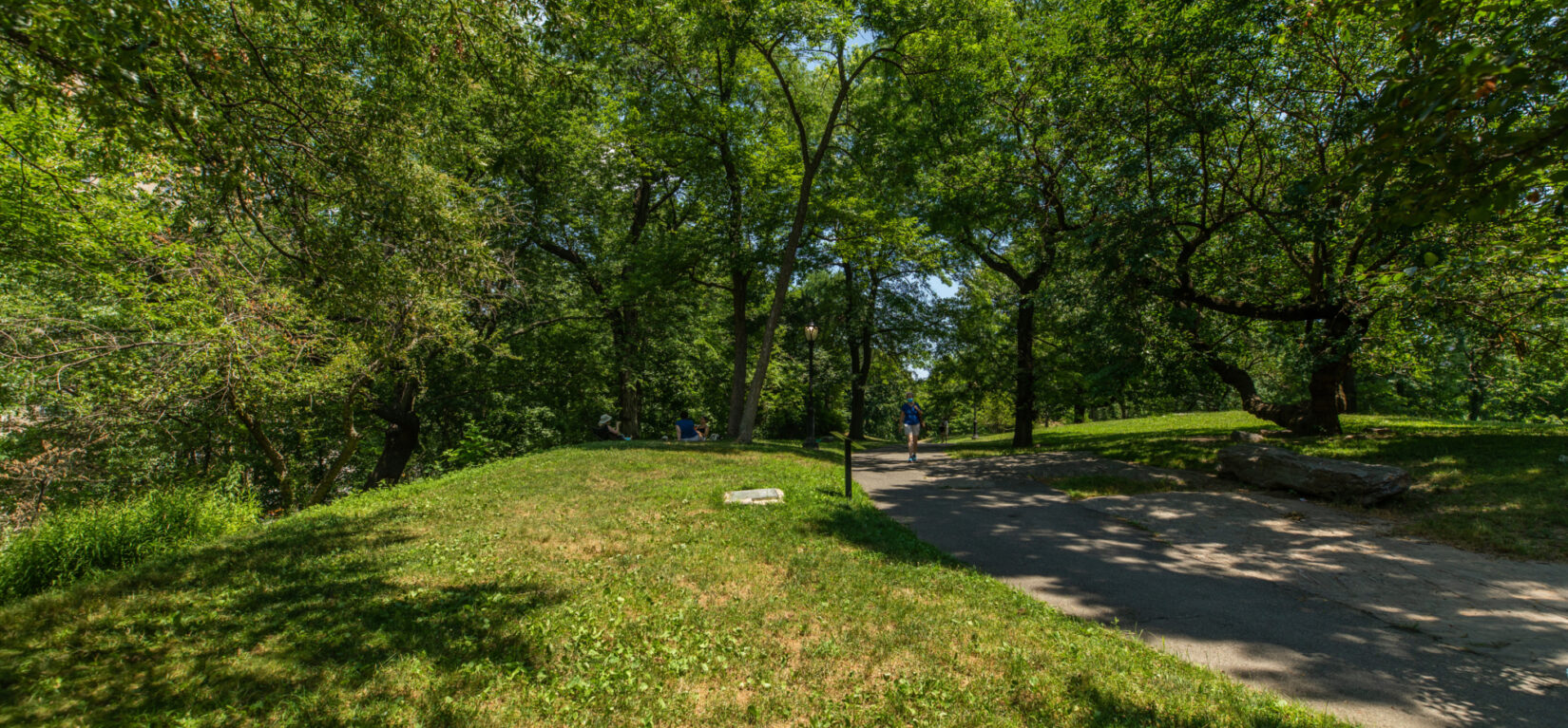 A parkgoer can be seen strolling a path lined with trees