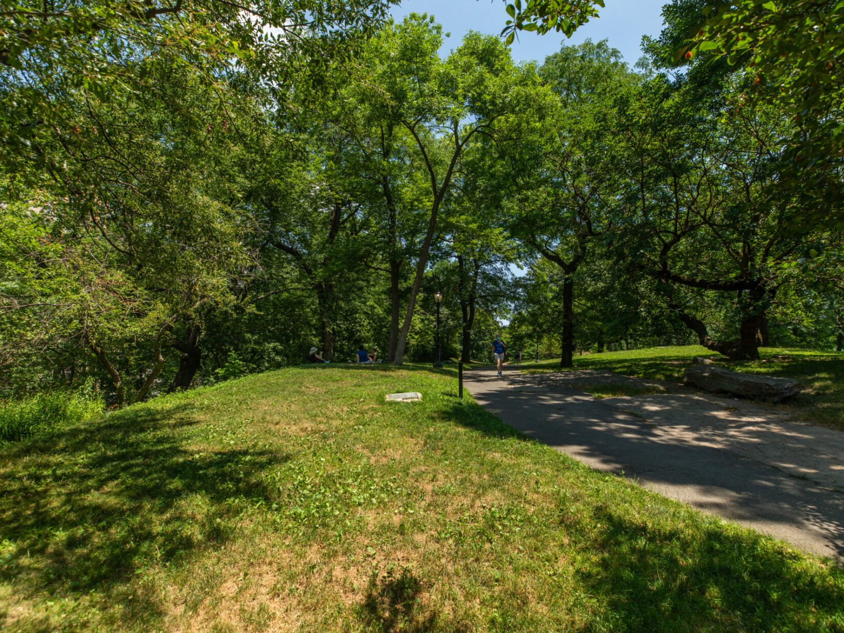 A parkgoer can be seen strolling a path lined with trees