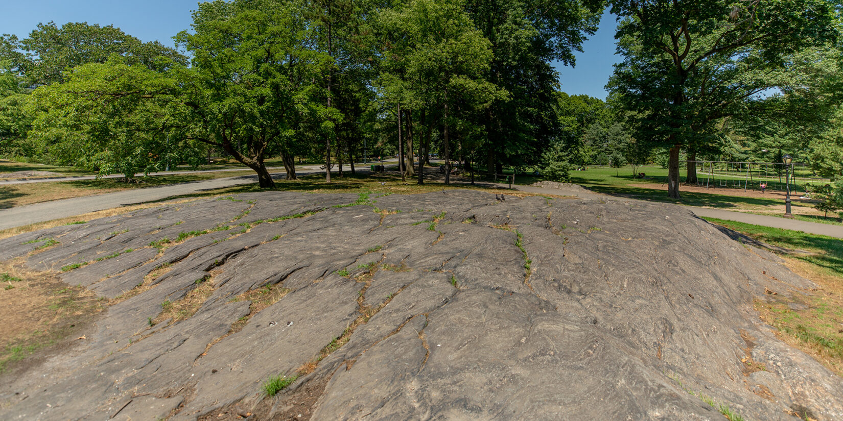 A view of some of Manhattan's original rocks, bordered at the top by a stand of trees