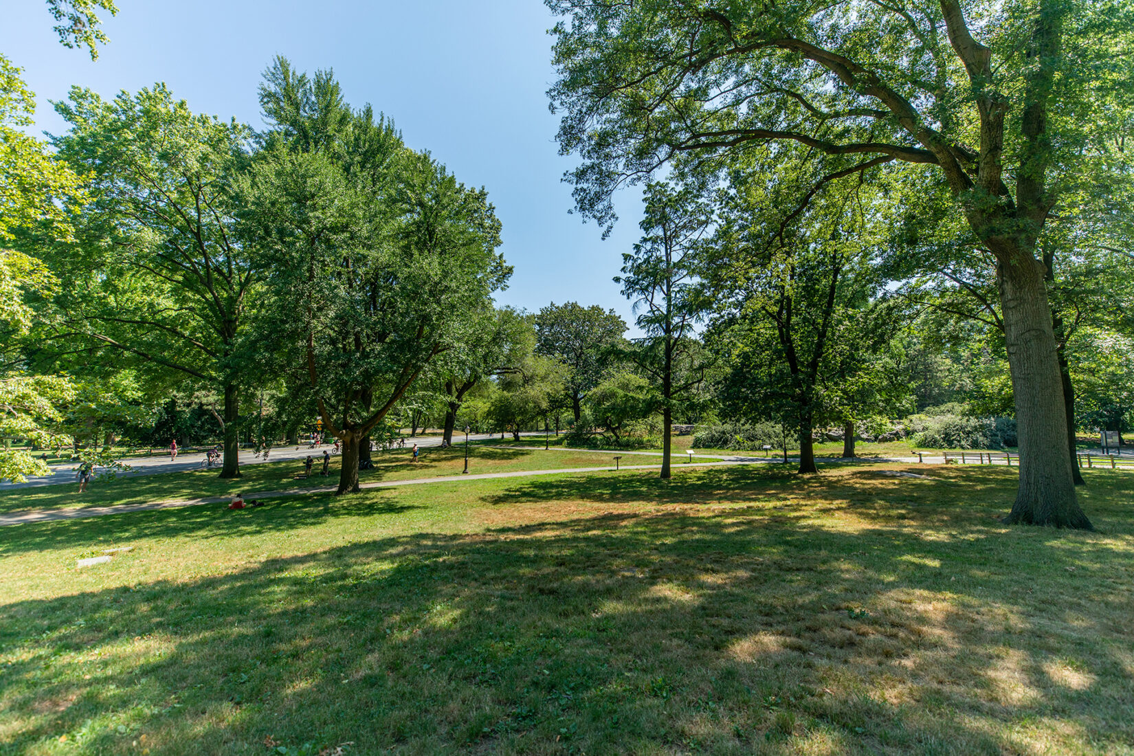 A Seneca Village landscape, dappled with shade under a blue sky