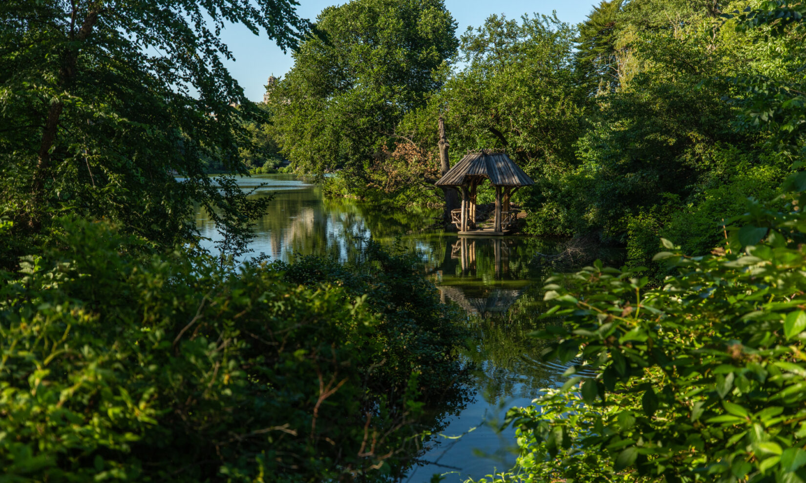 The boat landing is tucked into the shore of dense green flora that surrounds the Lake.