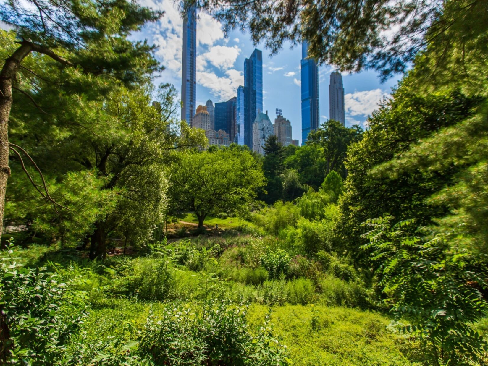 The spires of Midtown are seen in the distance, framed by the cooling foliage of Central Park