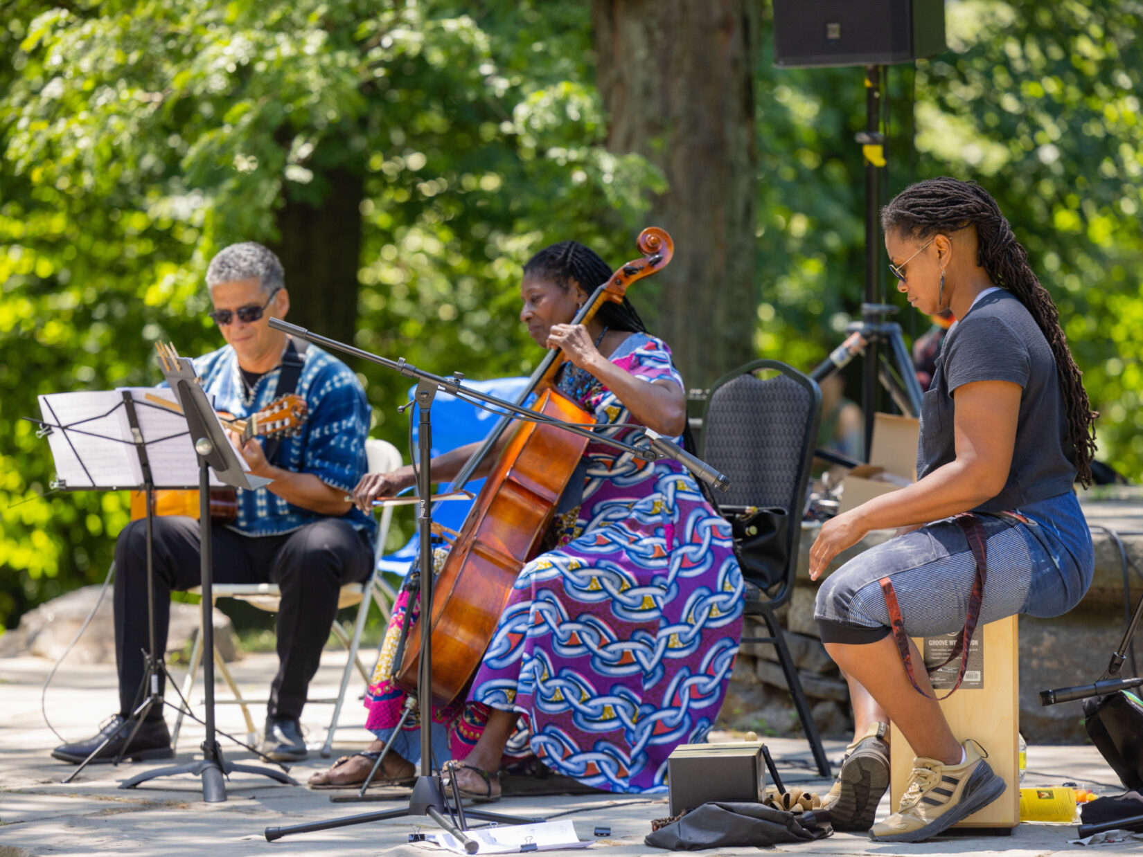 Juneteenth In Seneca Village 2022