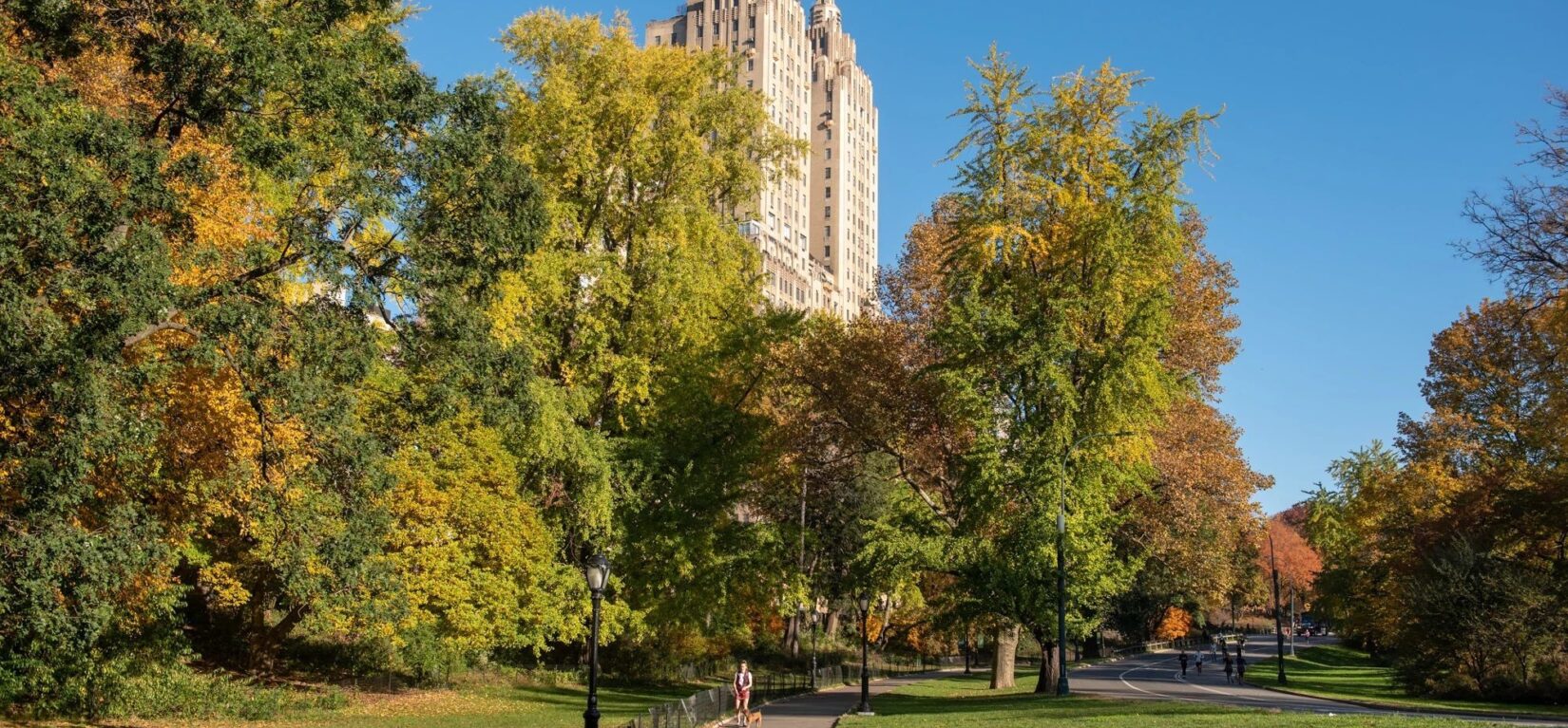 A view down the path through the landscape, with the buildings of Central Park West in the background, on a clear fall day.