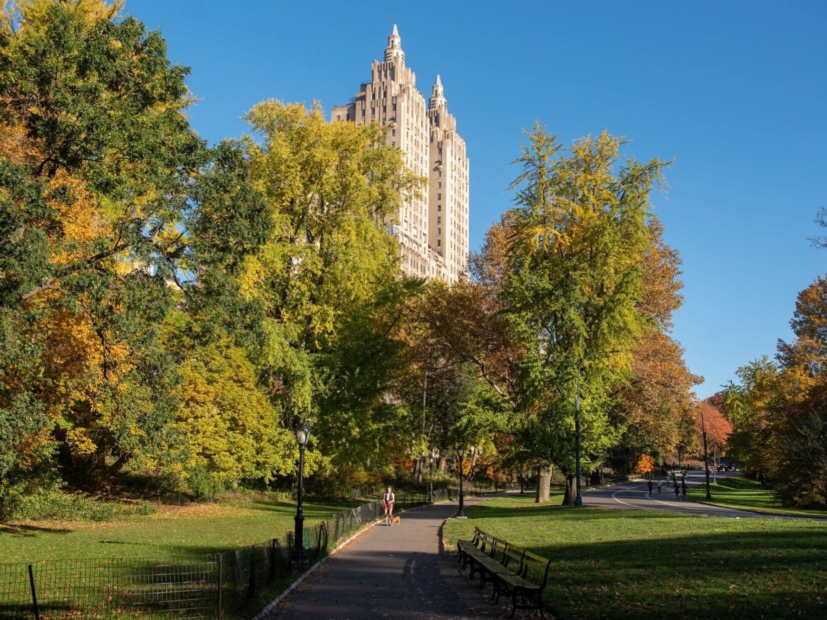 A view down the path through the landscape, with the buildings of Central Park West in the background, on a clear fall day.