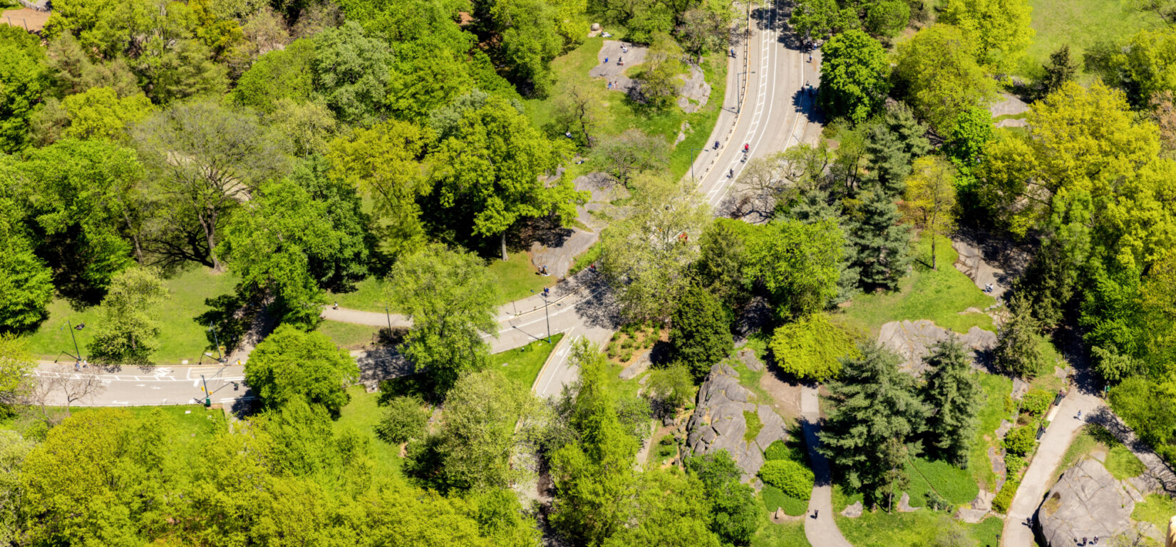 Aerial shot of Central Park and its Drives, surrounding by green trees.