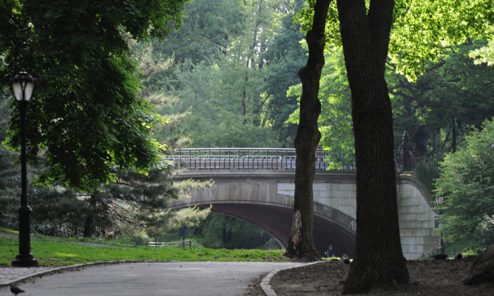 A Park path winds down to the arch, from shadow to sunlight and brilliantly lit leaves