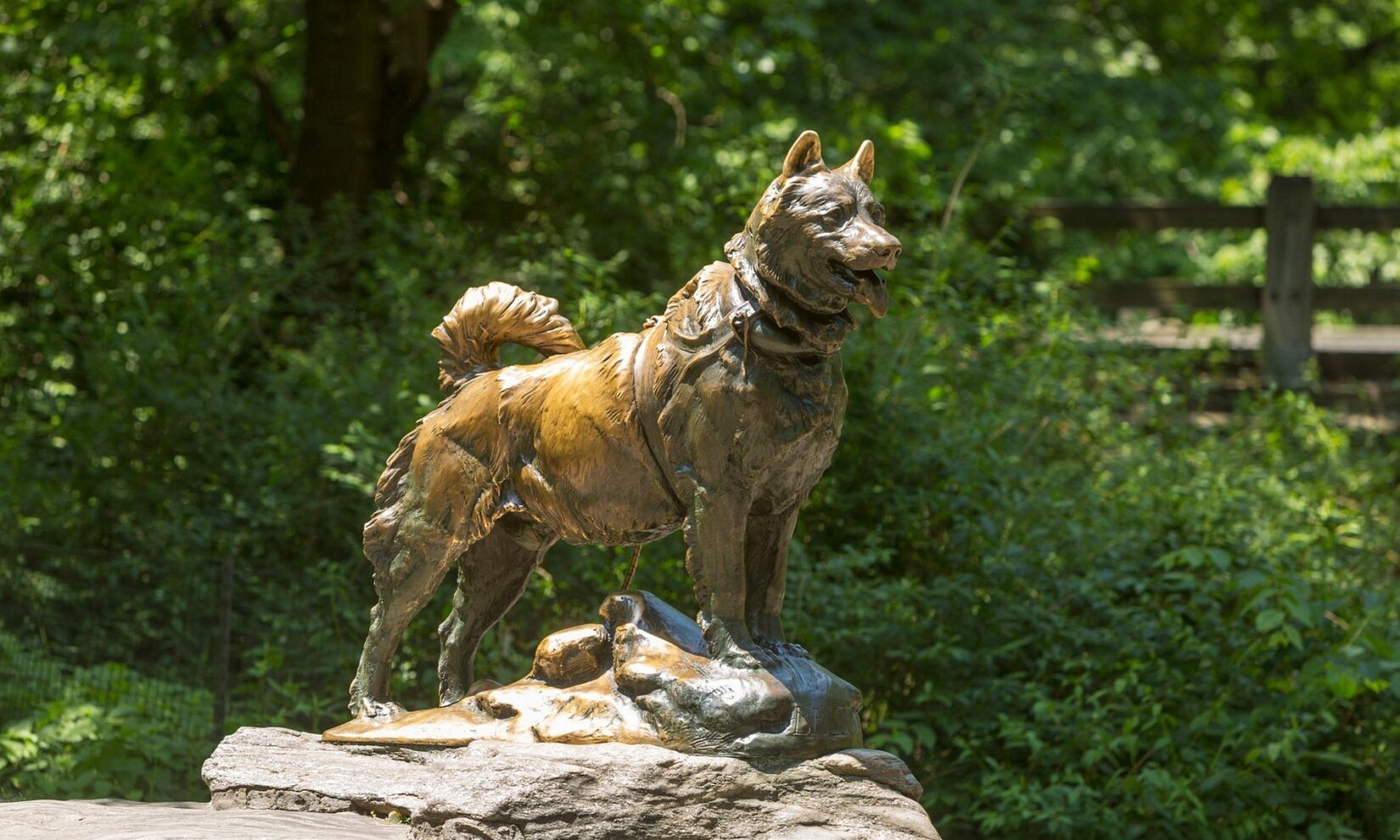 The statue of Balto stands alert atop a schist outcropping.