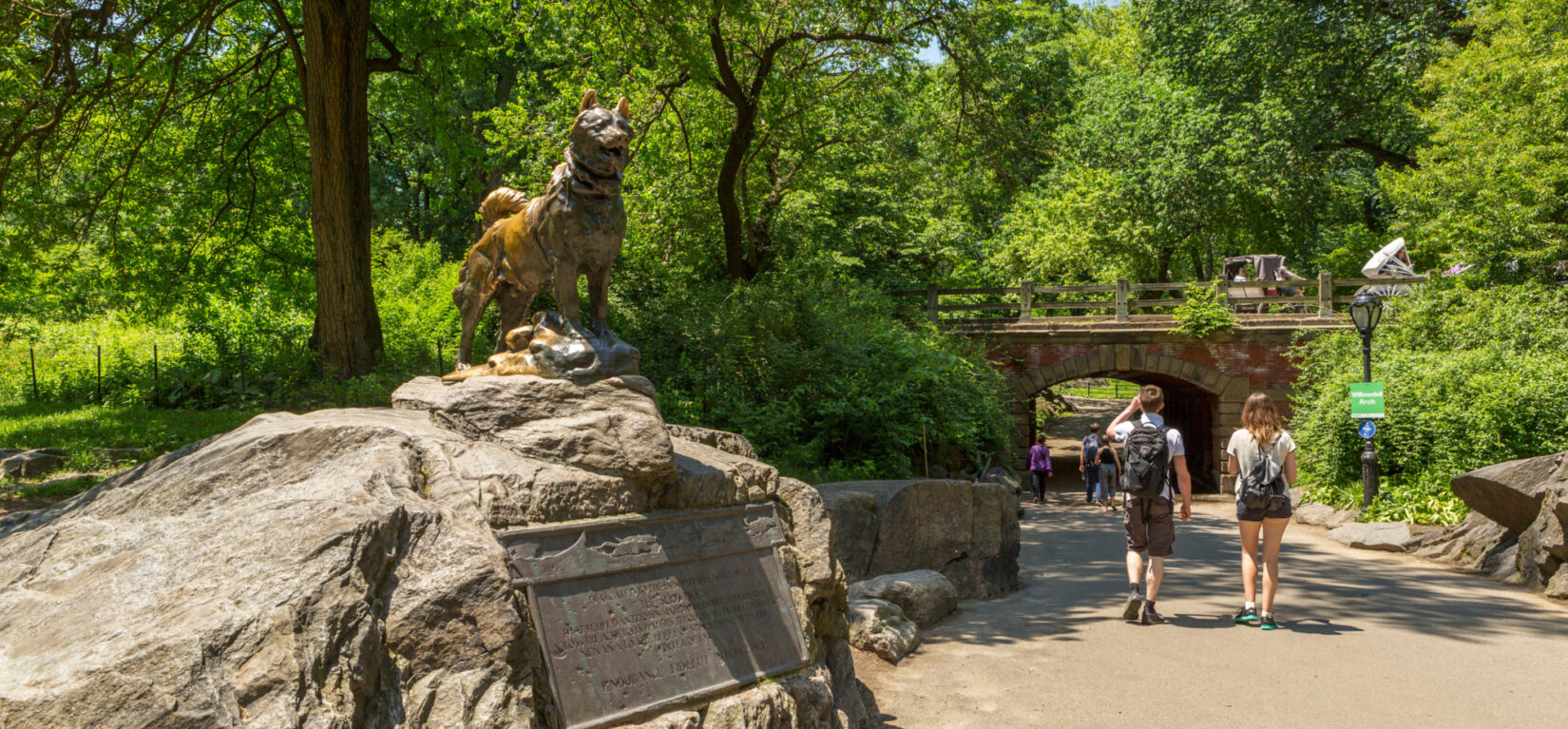 Balto seems perched on a rock