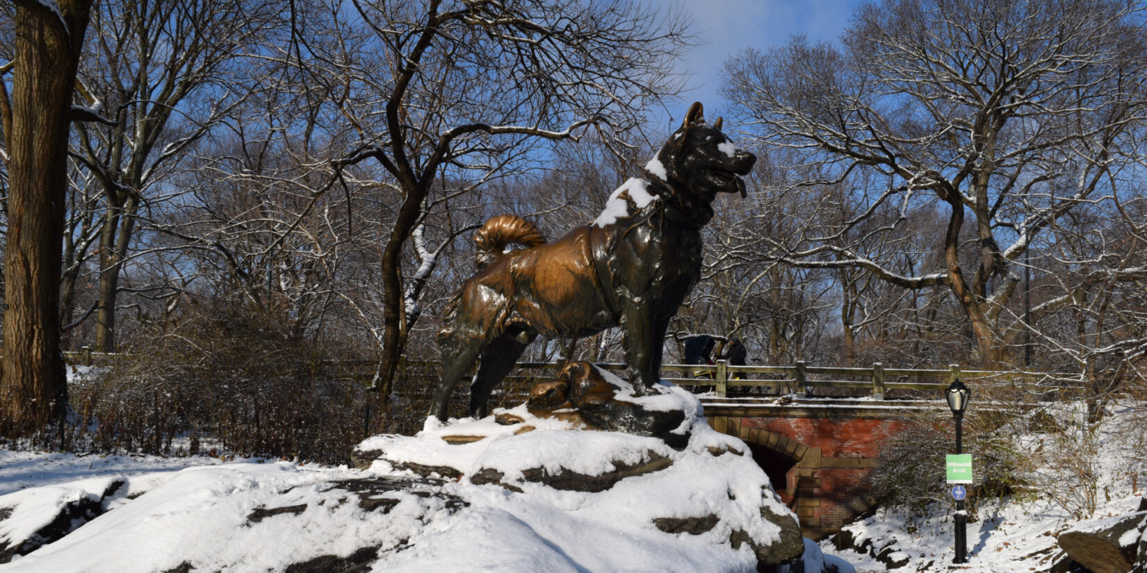 The statue of Balto photographed in mid-winter snow