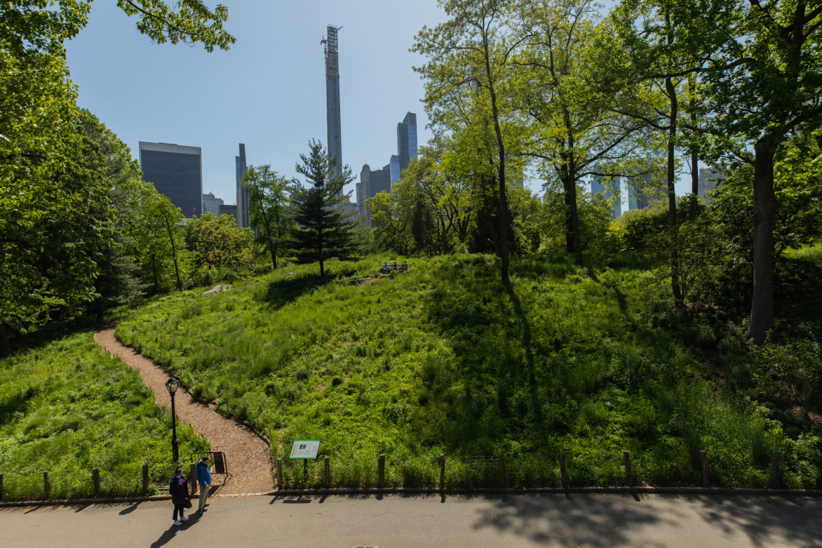 Dene Slope photographed in summer