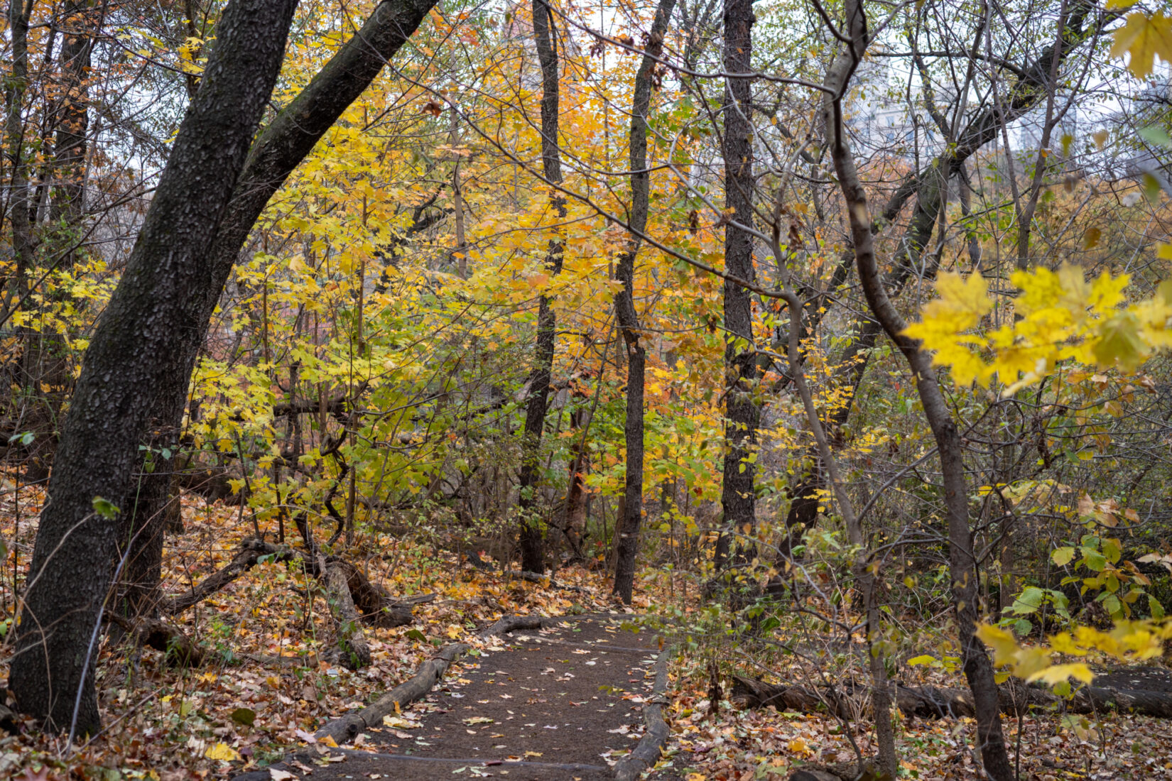 The Hallett Nature Sanctuary shown in mid-autumn