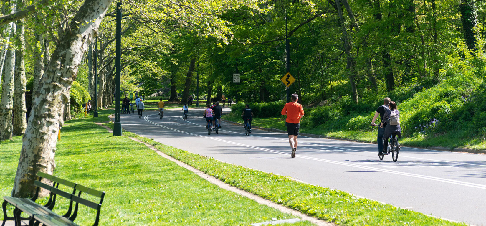 Joggers and bicyclists exercise on the roadway in summer