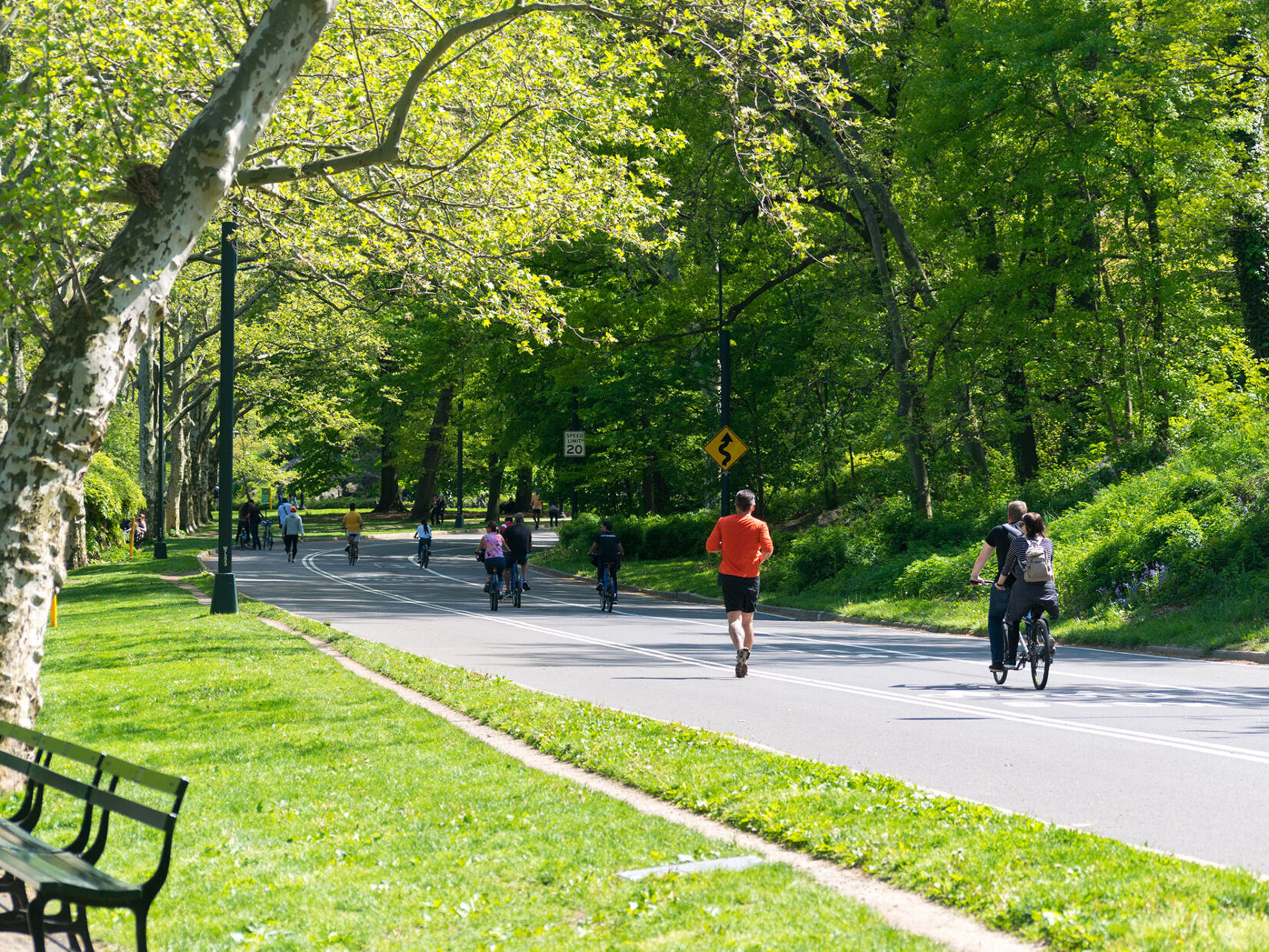 Joggers and bicyclists exercise on the roadway in summer