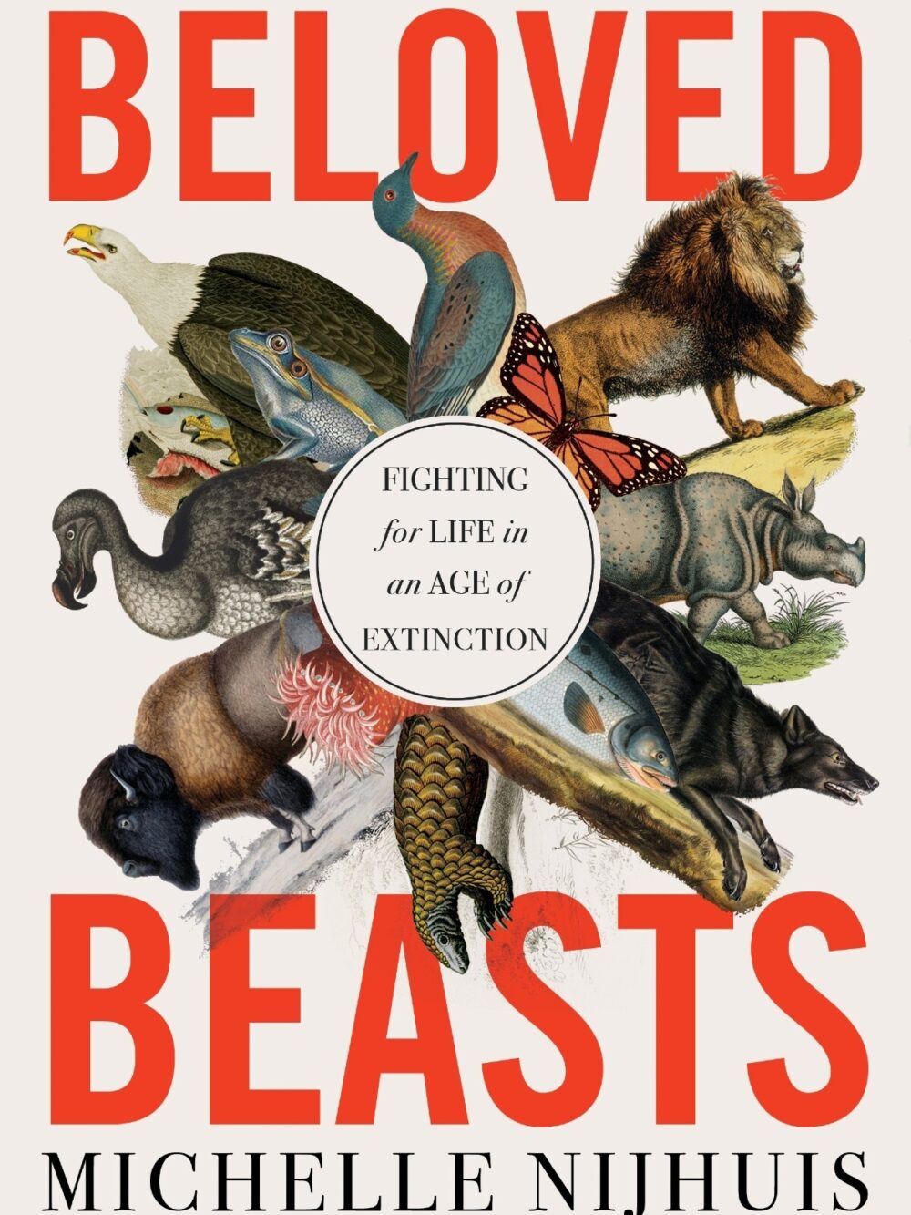 Book jacket showing a wide variety of threatened species, including a buffalo and a lion, among others.