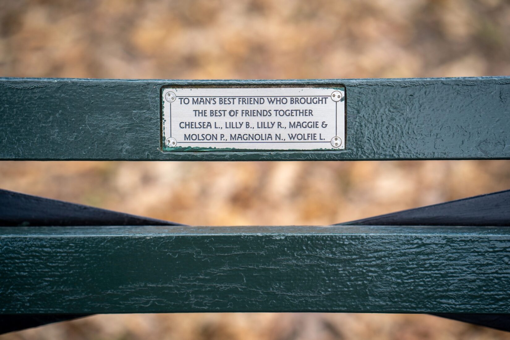 Bench Plaque 20191215 01596