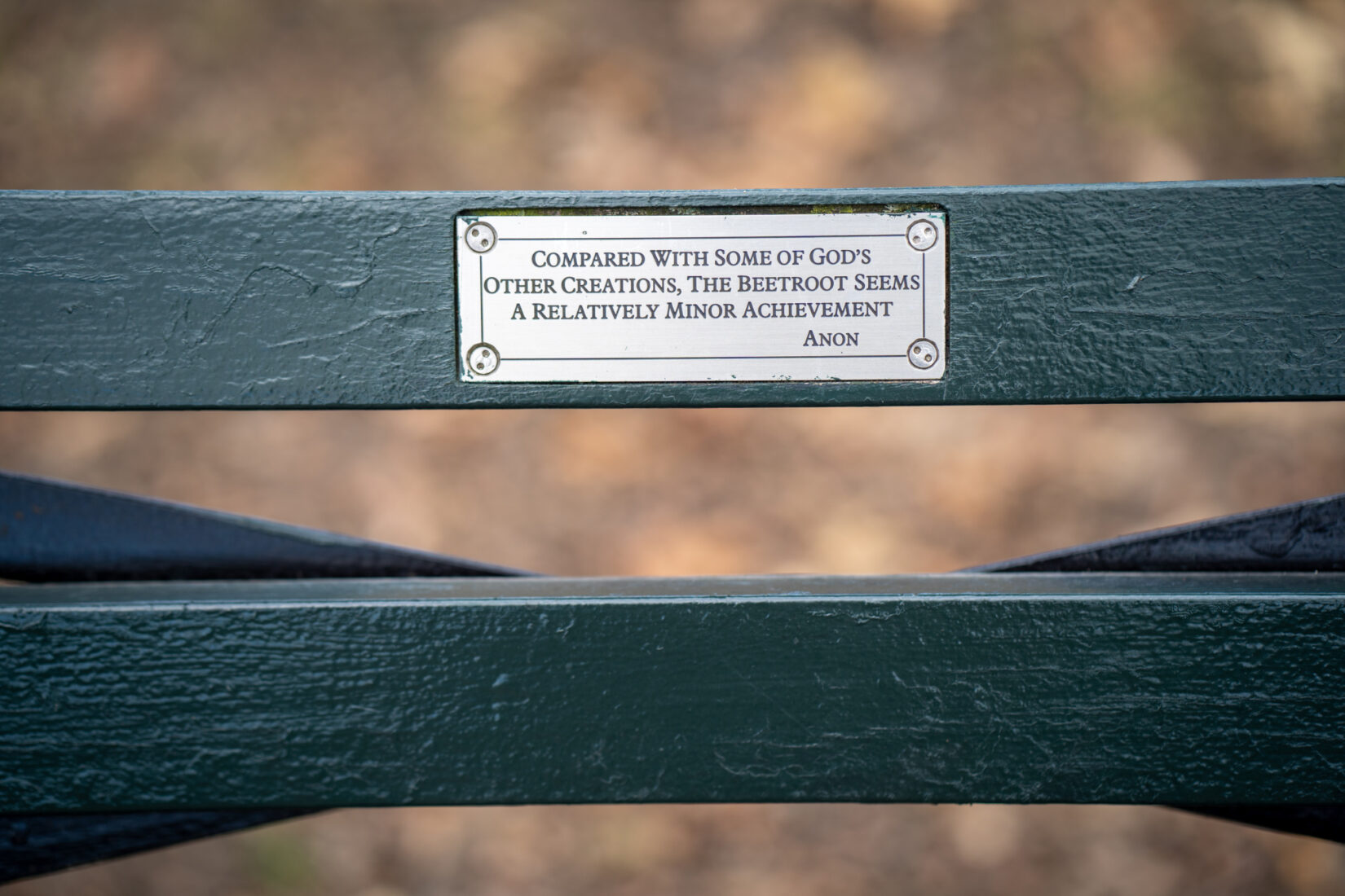 Bench Plaque 20191215 01601