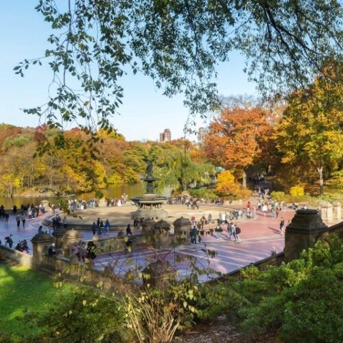 Looking east across the terrace on a bright, fall day.