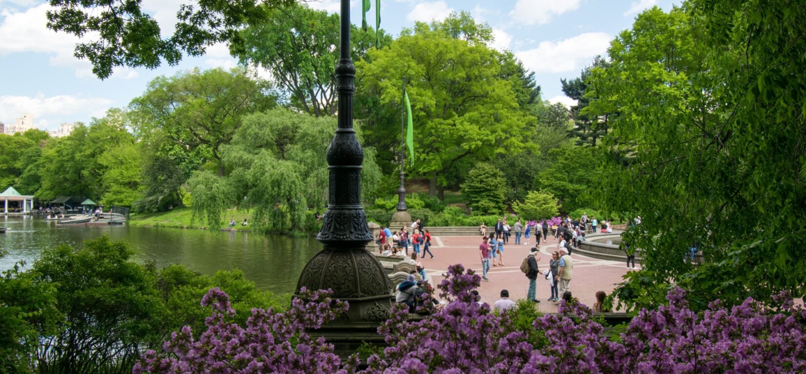 Visitors on Bethesda Terrace seen through a thicket of trees