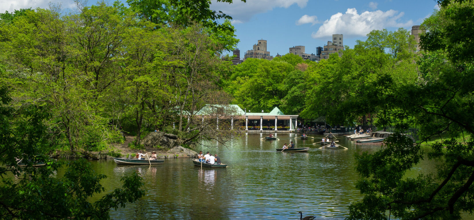 A flock of boaters on the lake in front of the Loeb Boathouse.