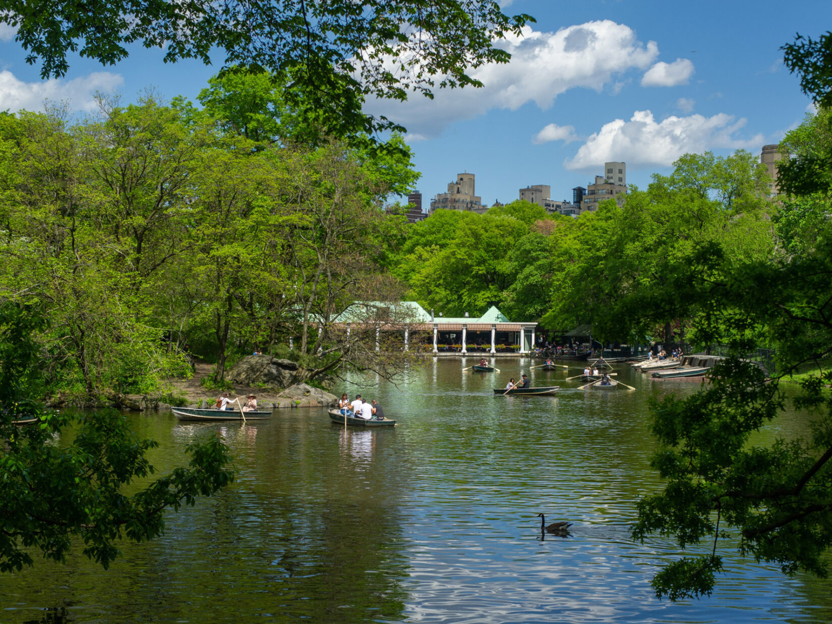 A flock of boaters on the lake in front of the Loeb Boathouse.