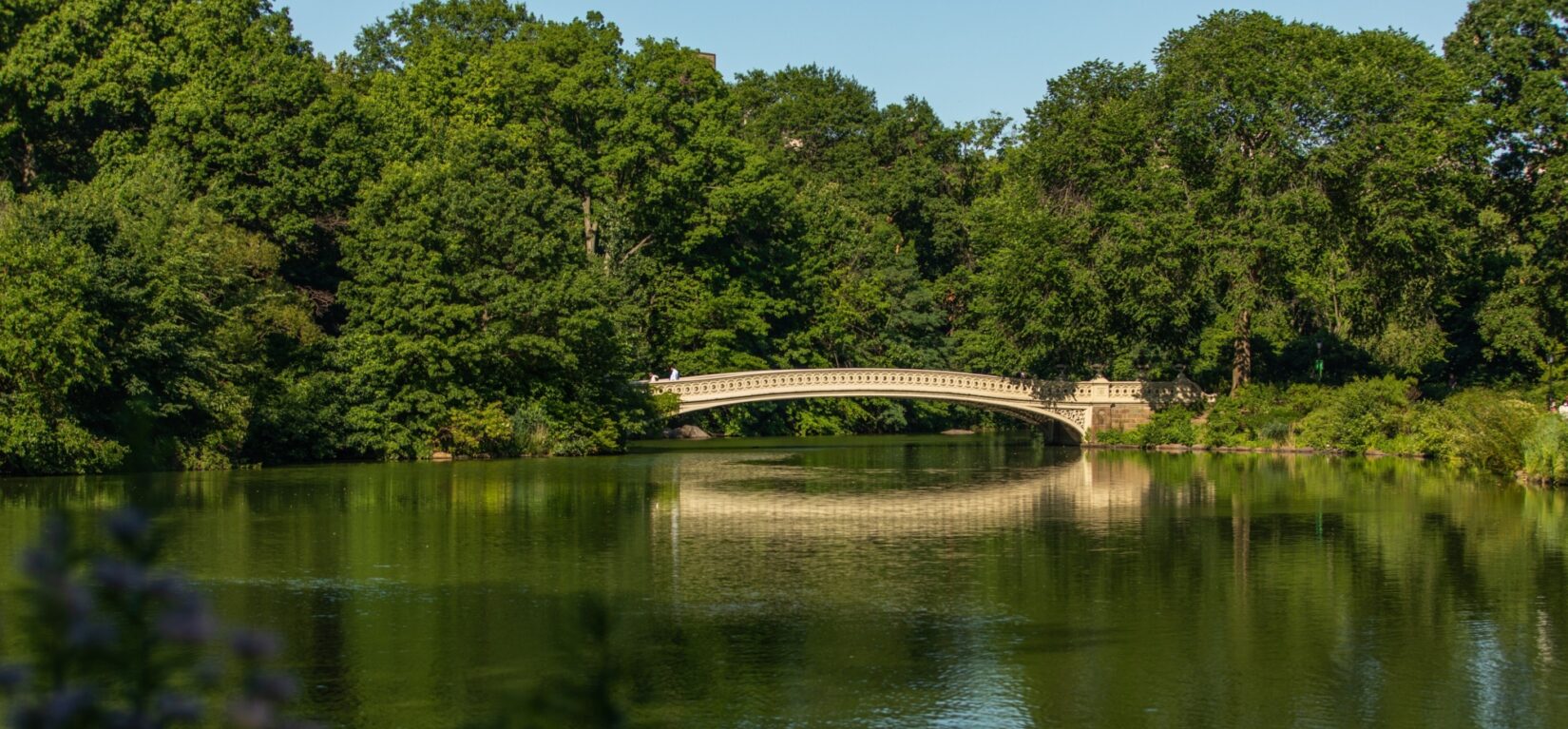 Bow Bridge in summer, its span reflected in the water below