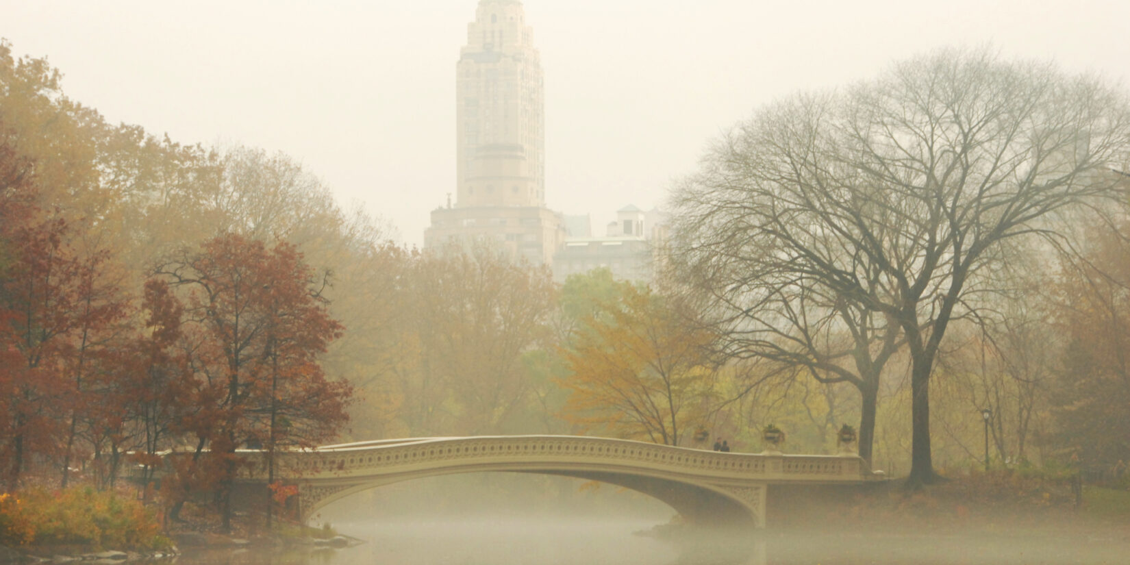 Bow Bridge Fog 0115