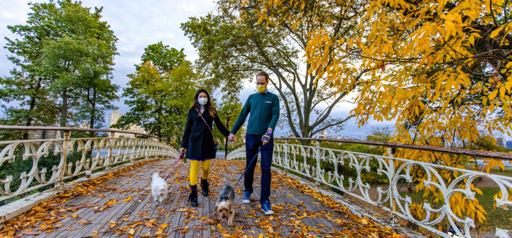 A couple holds hands while they walk their dogs on a Park bridge covered in autumn leaves.