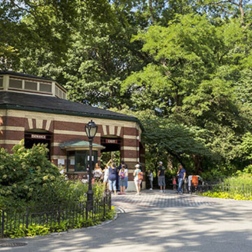 The Carousel tucked into the landscape with several crossing paths leading to the spot