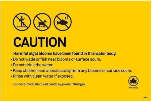 Caution Algae W0241