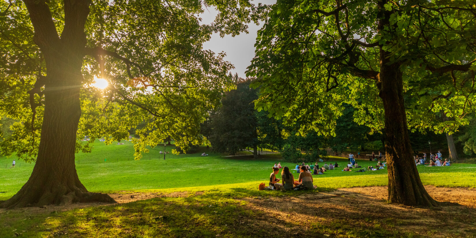 Parkgoers sitting under a tree, bathed in shadows as the sun sets.