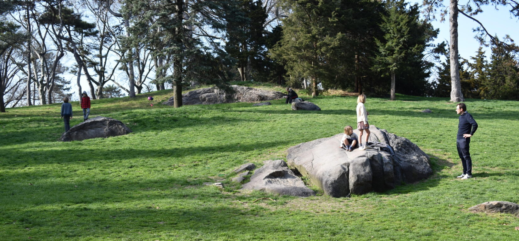 A boulder highlights the landscape of Cedar Hill