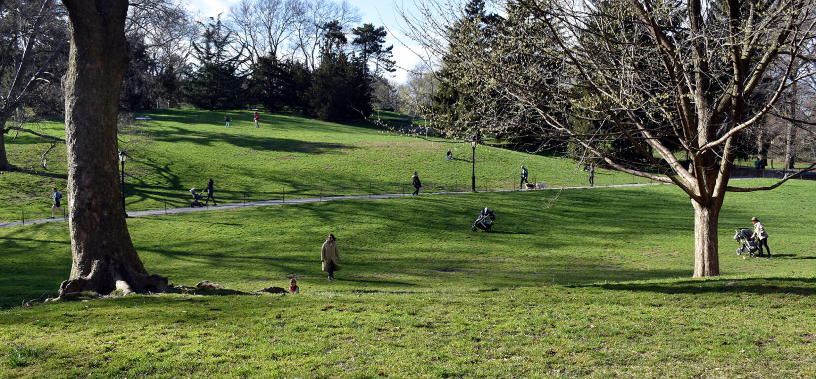 Cedar Hill with scattered strollers and bare trees