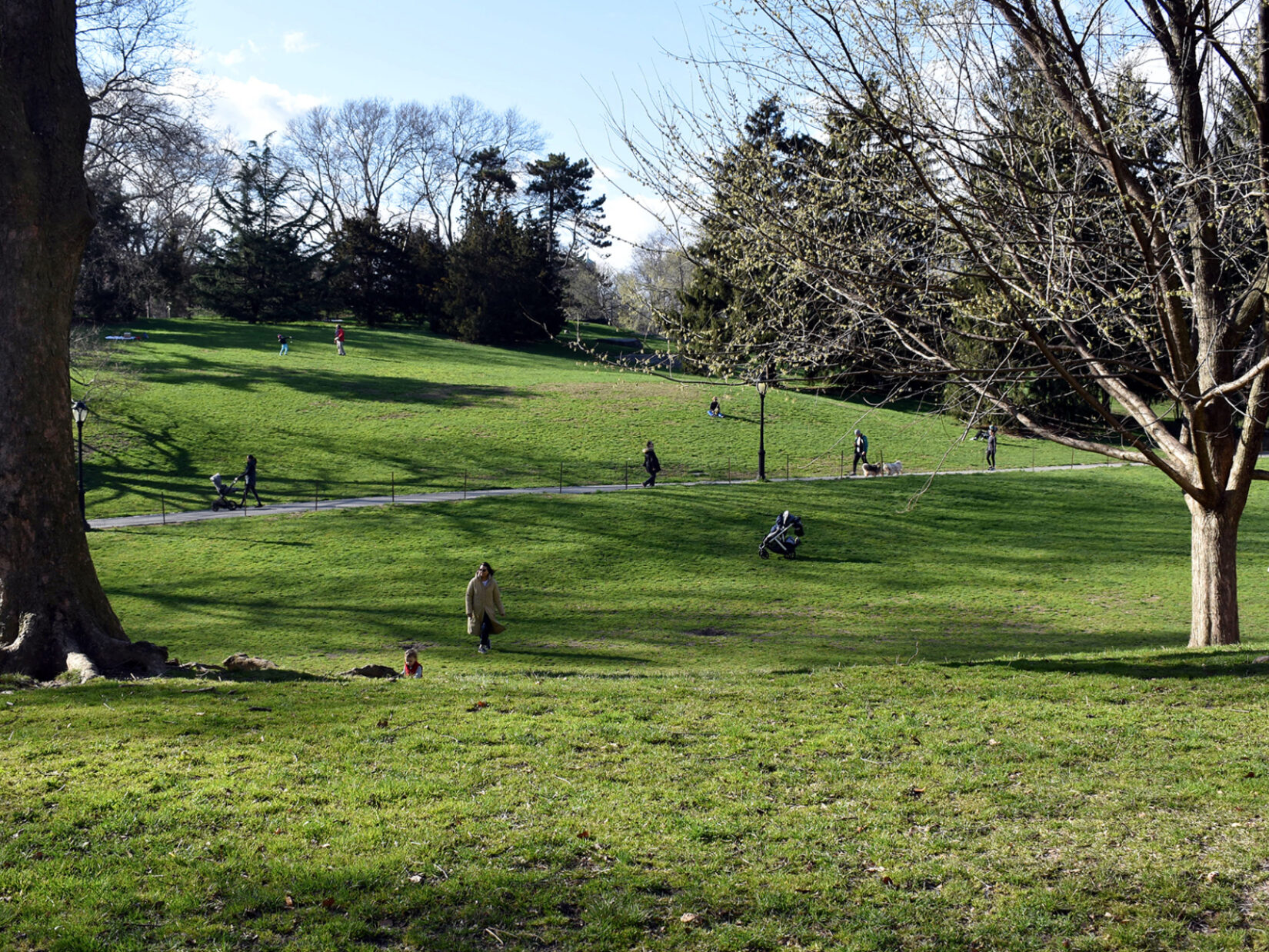 Cedar Hill with scattered strollers and bare trees