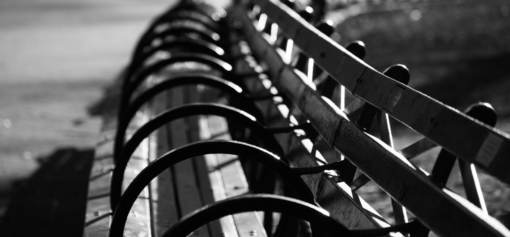 A row of park benchs curve along the side of a footpath