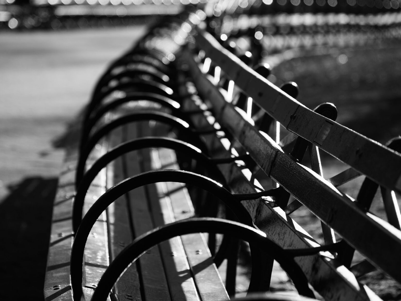 A row of park benchs curve along the side of a footpath