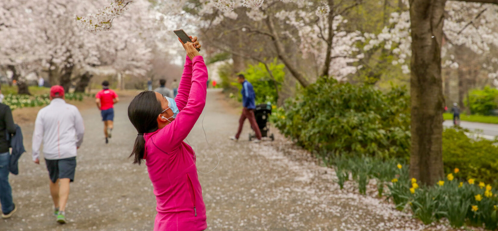 A woman wearing a mask takes photos of spring blooms on the bridle path