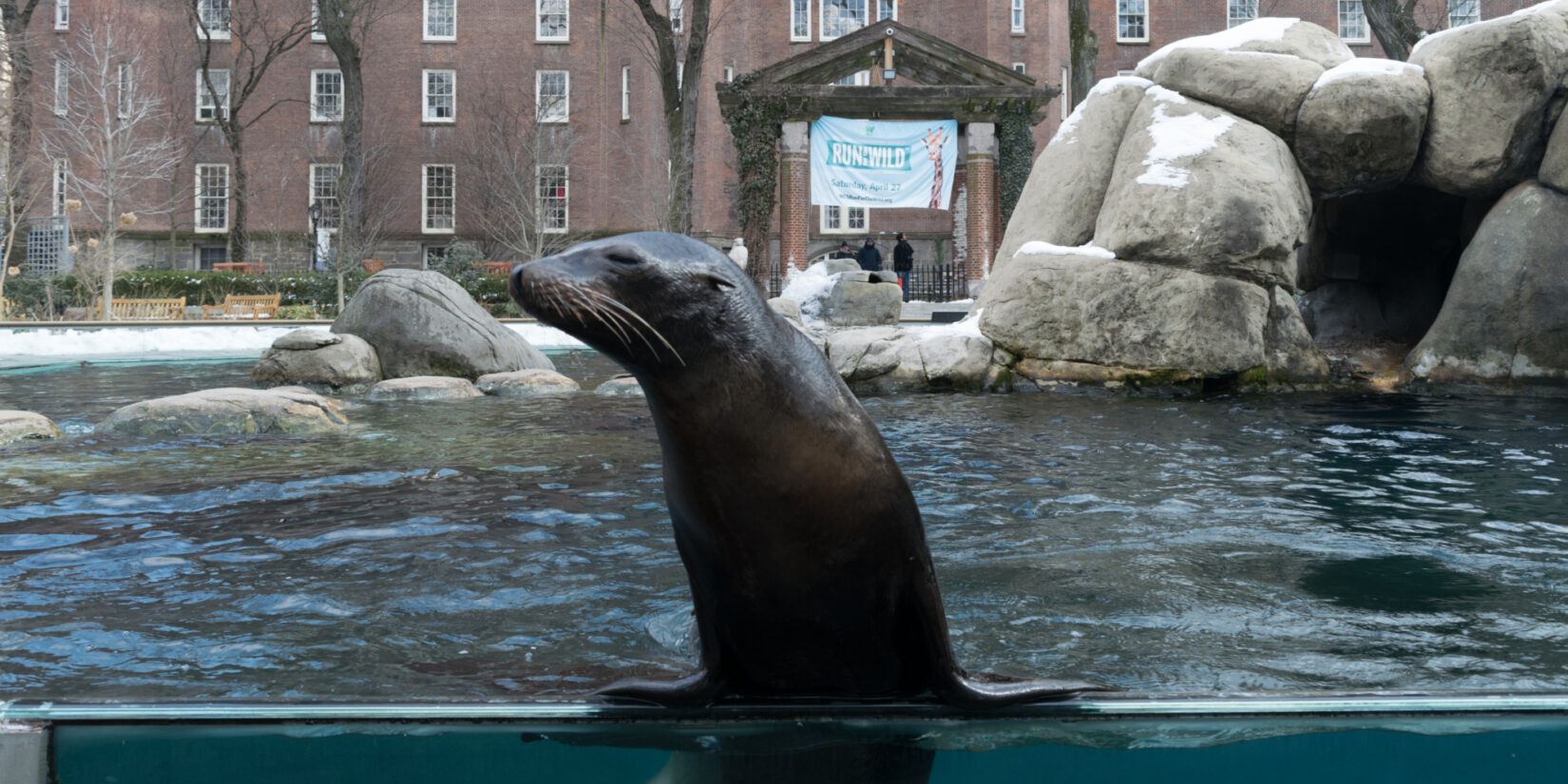 Central Park Zoo 20190307 090